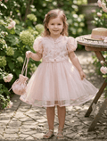 whisperingpoppers summer frocks  front view of Pastel Pink Embroidered Jacket Frock  with Sequin Detail+ Matching Clutch — Girls 3 to 8 Years-imported  soft net -cotton inner linning perfect for pakistani  summer season and winter ,weddings ,birthdays and events.fancy focks