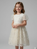 ivory net frock